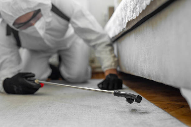 Professional Mosquito Control technician working in Laporte, CO