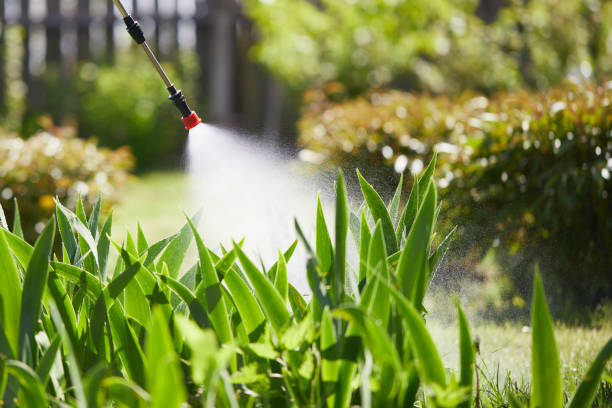24/7 Emergency Mosquito Control experts in Laporte, CO